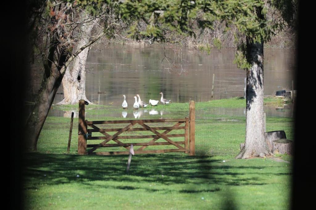 Le Ponton Des Sympetrums Aurec-Sur-Loire Exteriör bild