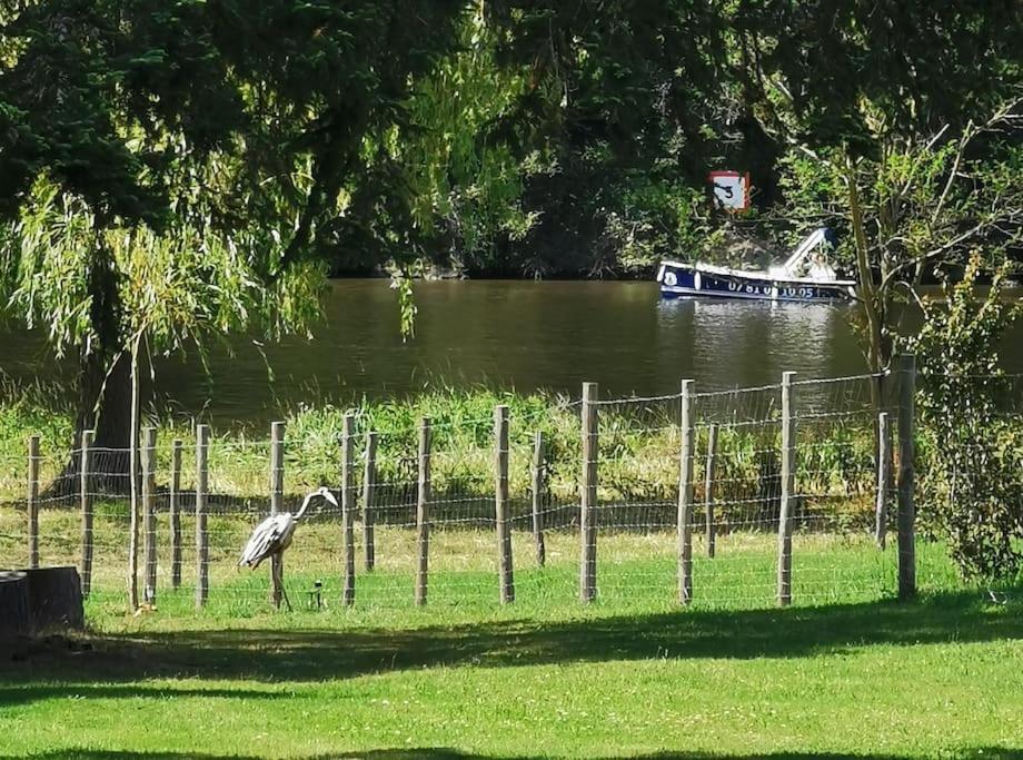 Le Ponton Des Sympetrums Aurec-Sur-Loire Exteriör bild